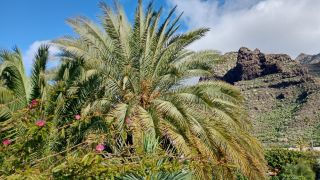 GC-Tasartico 2026-40.jpg